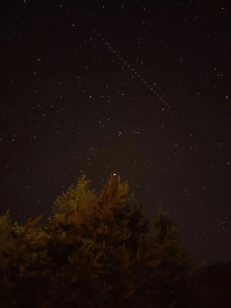 Na obrázku je zachycena tmavá noční obloha plná hvězd s viditelnou stopou po průletu satelitu Starlink, který byl vypuštěn společností SpaceX. V popředí jsou siluety stromů, které dotvářejí klidnou atmosféru přírodního prostředí.