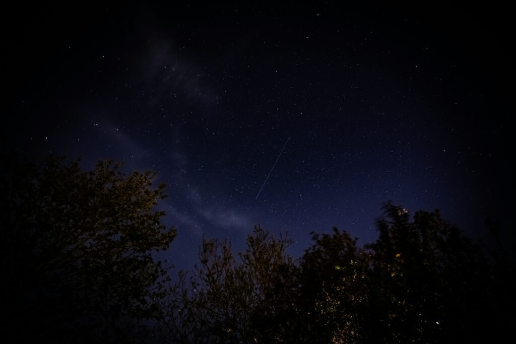 Noční obloha s průletem satelitu Starlink, viditelná mezi korunami stromů.