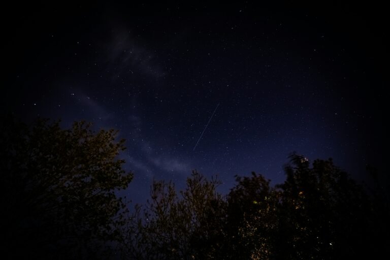 Noční obloha s průletem satelitu Starlink, viditelná mezi korunami stromů.