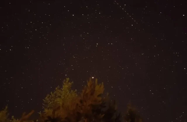 Noční obloha plná hvězd s viditelnou drahou satelitů Starlink nad tmavým lesem