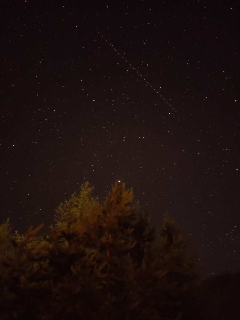 Noční obloha plná hvězd s viditelnou drahou satelitů Starlink nad tmavým lesem